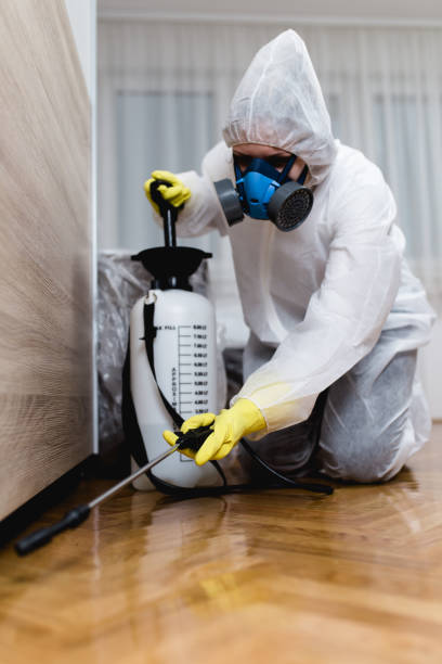 Indoor Pest Control in Kiryas Joel, NY